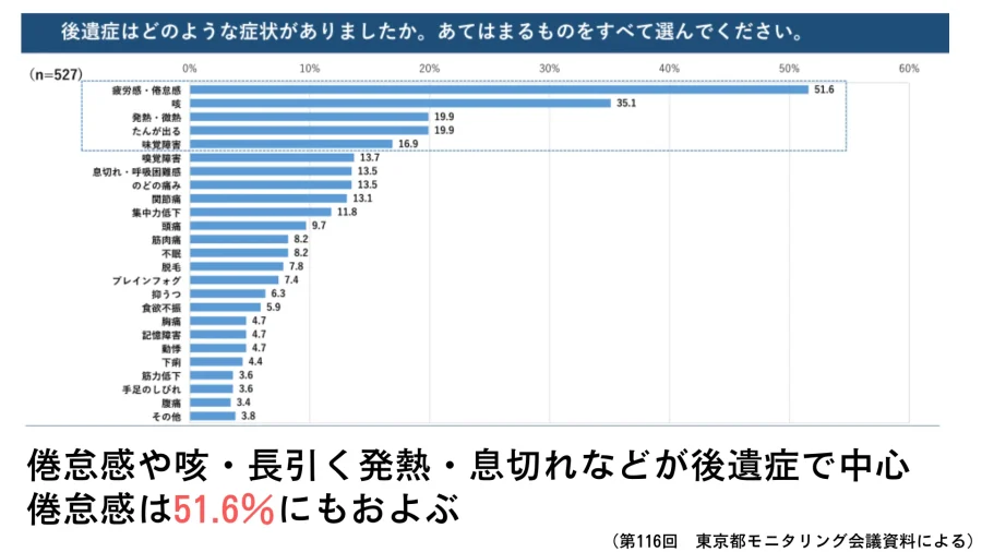 日本の文化 人気