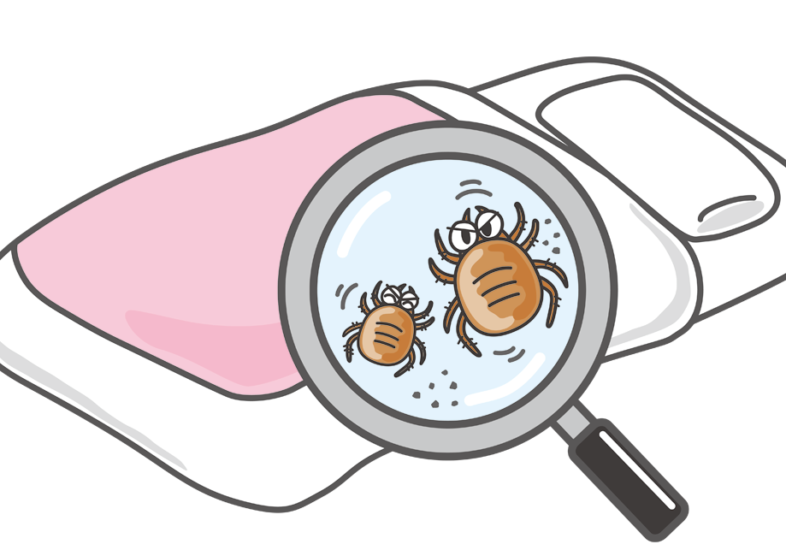 アウトドアに出かける前に