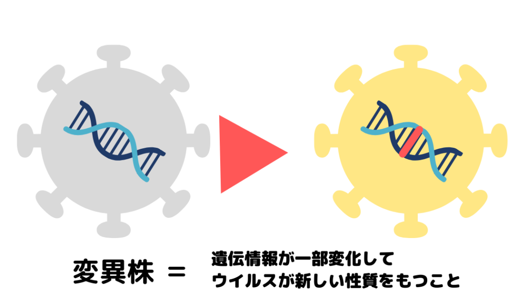 新型コロナウイルス変異株 デルタ株 について 感染力 潜伏期間 ワクチンの効果 ひまわり医院 内科 皮膚科