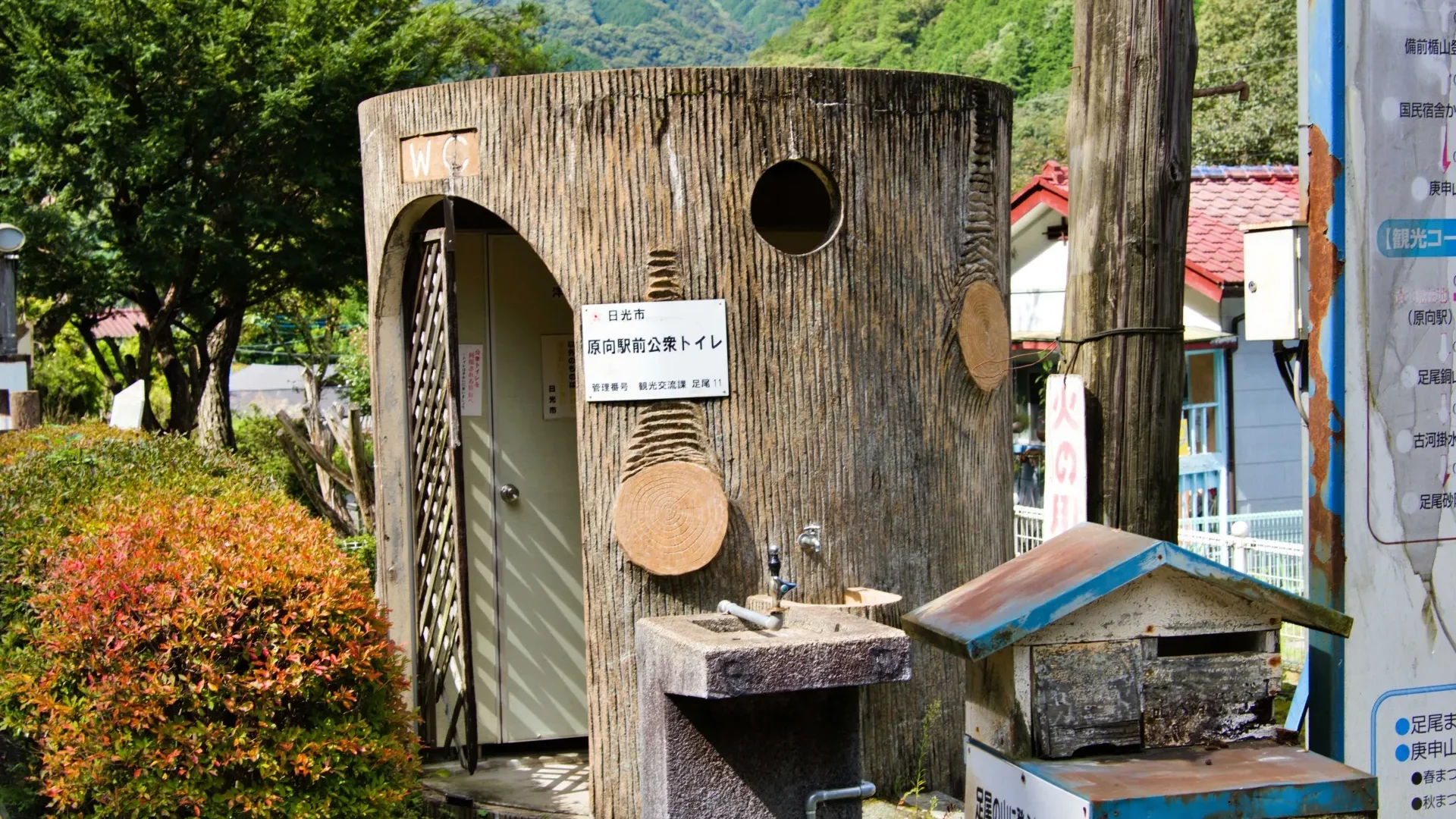 女性に多い】膀胱炎の原因から症状・治し方まで解説 | ひまわり医院（内科・皮膚科）