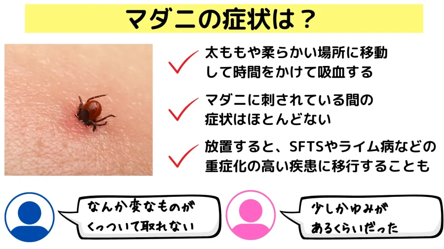 マダニに刺されたら？マダニの大きさから症状・マダニ対策について解説 | ひまわり医院（内科・皮膚科）