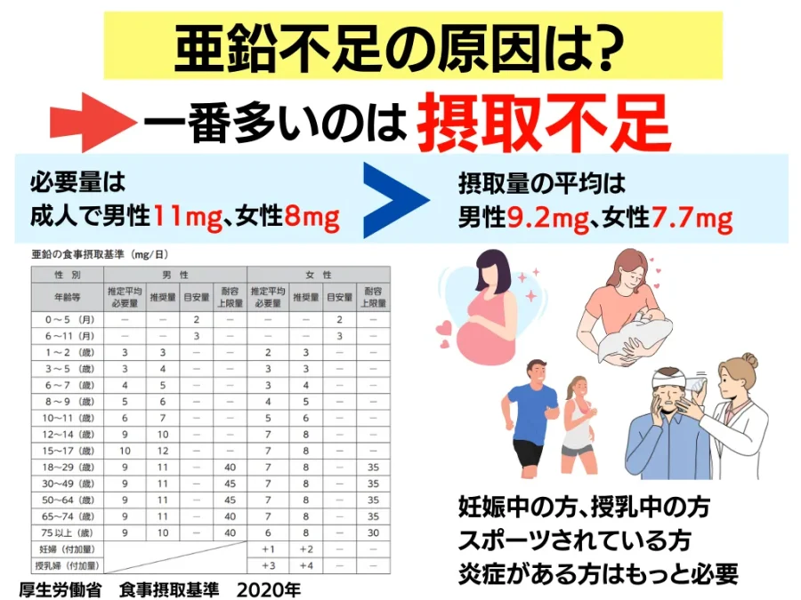 亜鉛不足の原因や症状・摂取量の目安について【食べ物や治療薬も  