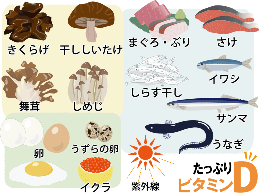 悪性貧血の治療