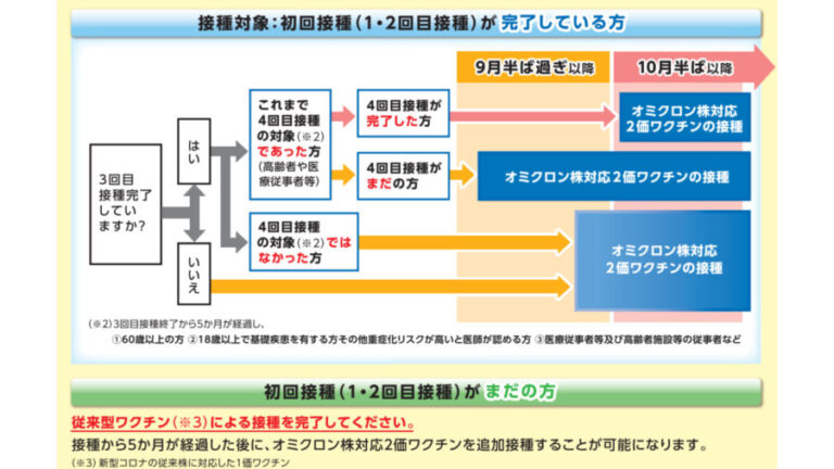 赤楚衛二 町田啓太