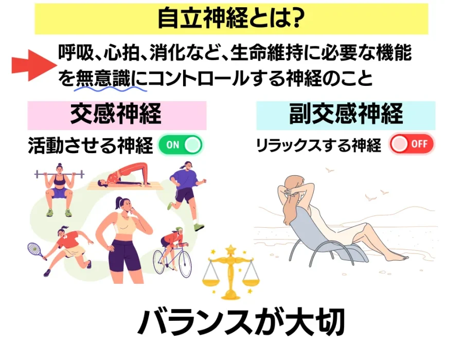 自律神経の乱れによる原因や症状・改善方法について | ひまわり医院(内科・皮膚科)