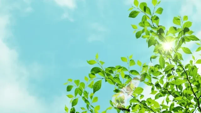 多形光の噴出を防ぐことはできるでしょうか?