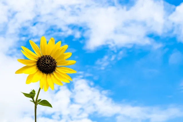 食物アレルギー検査の比較