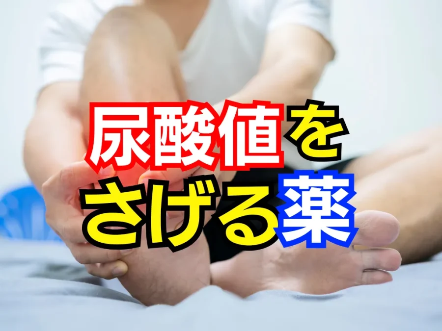 名器。水指し一度も使用しておりません。 名器。水指し一度も使用しておりません。
