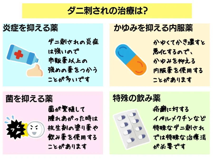 ダニ刺されの特徴について解説【症状・薬・治し方やダニ対策】 | ひまわり医院(内科・皮膚科)