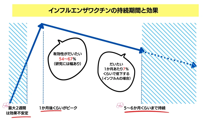 インフルエンザからどれくらいの人を守ることができますか?
