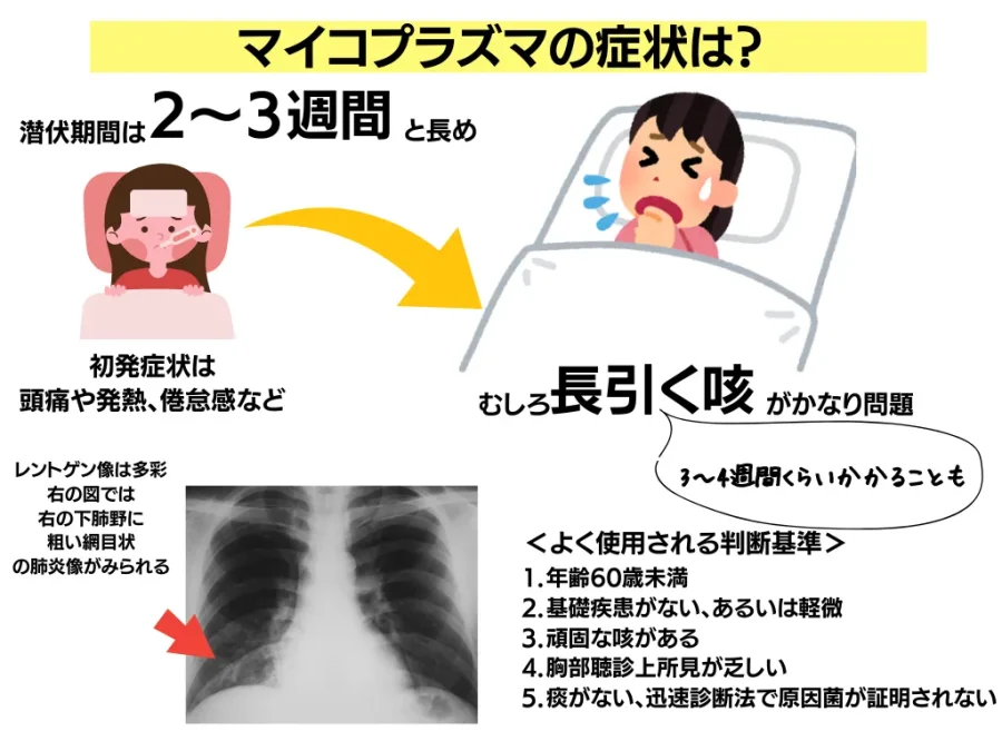 マイコプラズマ肺炎の症状や検査、感染力について【大人の症状も】 | ひまわり医院(内科・皮膚科)