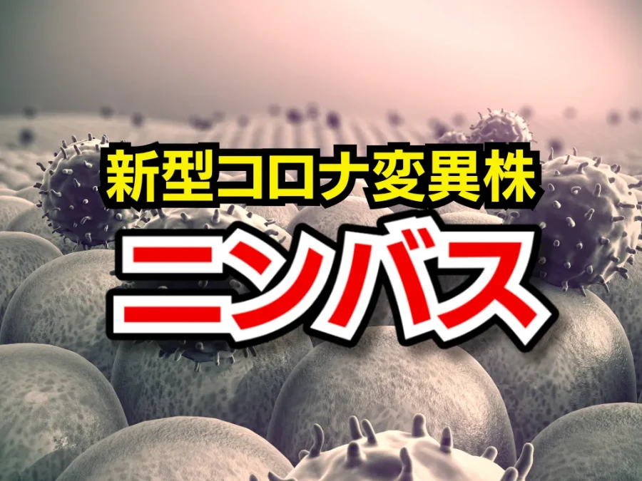 潜伏期間 Incubation 新型コロナウイルスの潜伏期間について解説【2025年最新・平均